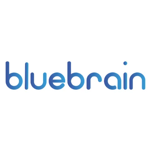 Blue Brain sp. z o.o.