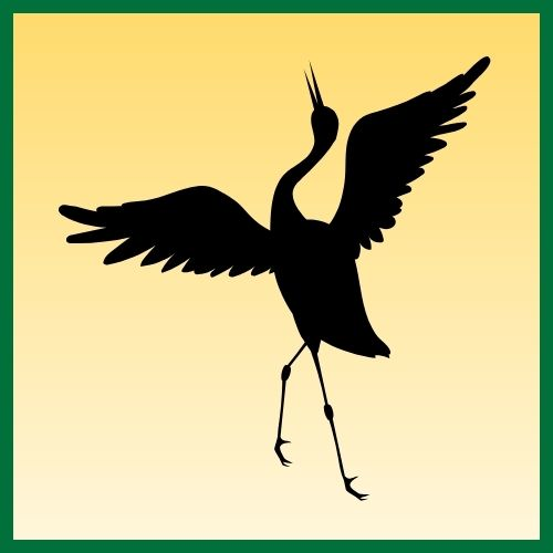 Fundacja Żurawie Skrzydła Foundation
