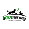 Boomerang Polska sp. z o.o.