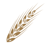 Tęgoborze Zpc Grzyb S.K.A.