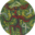 Omnius.It sp. z o.o. in liquidation