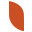 Fundacja Aplica Foundation