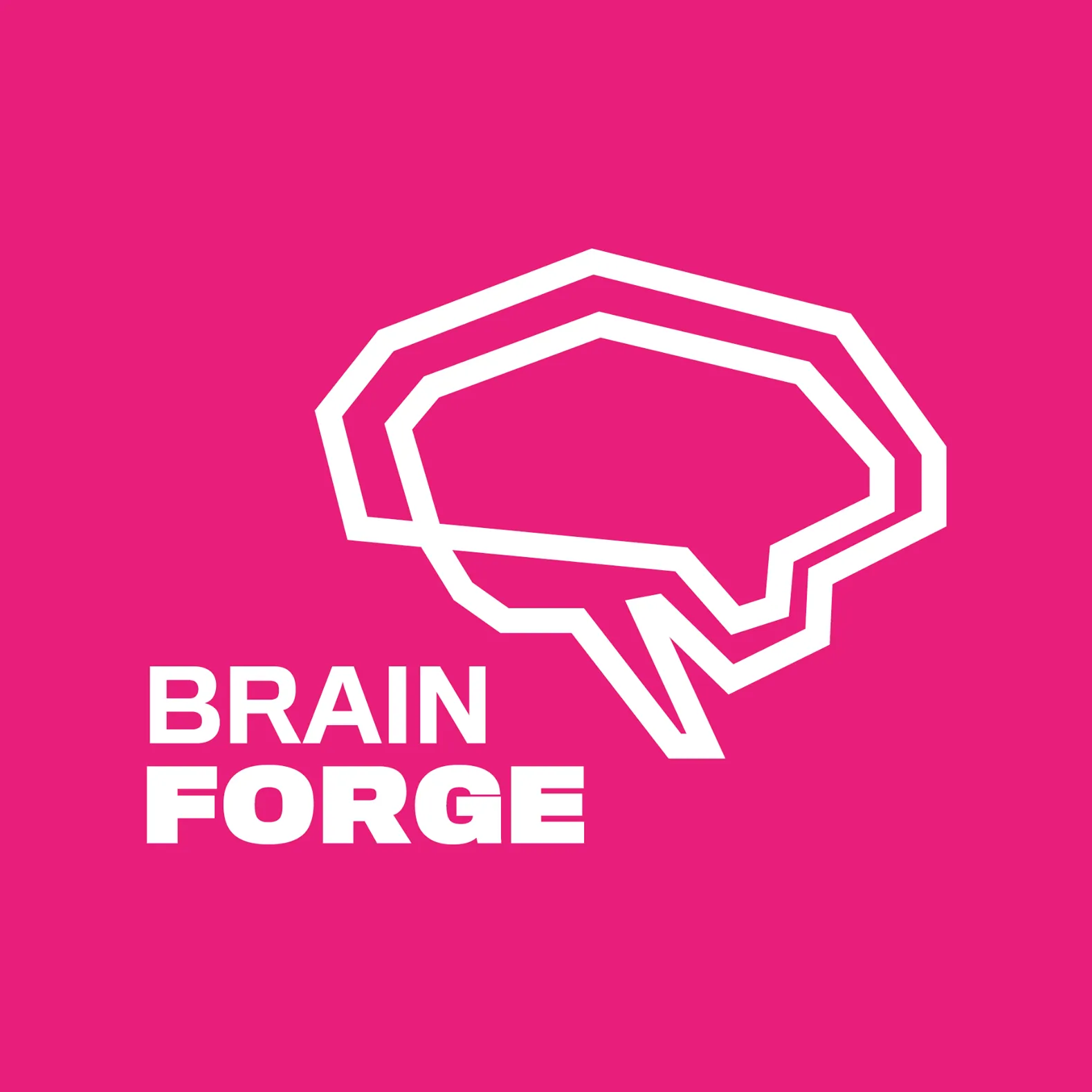 Brainforge It Software & Consulting sp. z o.o.