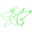 Fundacja Biodiversitatis Foundation