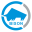 Bison