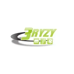 3 Ryzy
