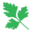 Fundacja Targ Pietruszkowy Foundation