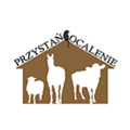 Przystań Ocalenie Foundation