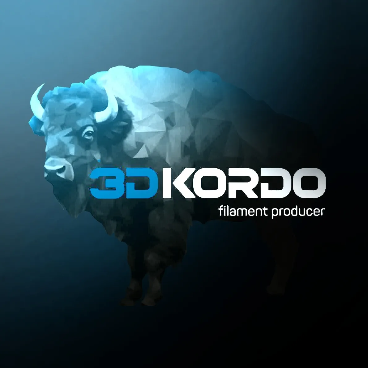 3dkordo Sztuk Wyszkowska sp. j.