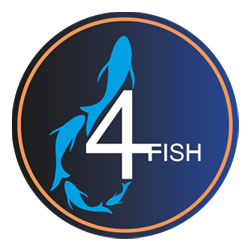 4 Fish