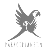 Parrot Planet