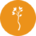 Ortop Diagnostyka Obrazowa Kraśny Napiontek sp. j.