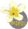 Monoi Spa sp. z o.o.
