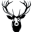 Devore sp. z o.o.
