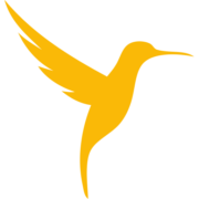 Yellow Bird sp. z o.o.
