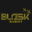 Blaskevent.Pl sp. z o.o.