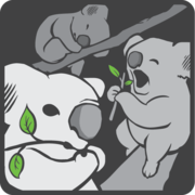 Crunching Koalas sp. z o.o.