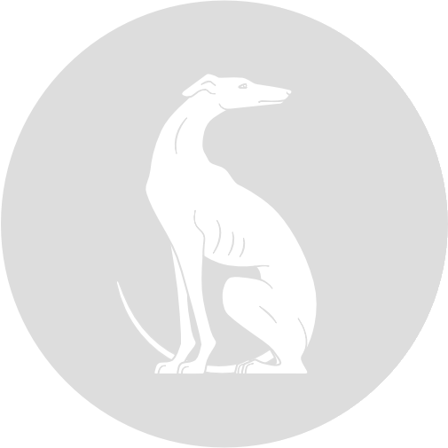 Bracia Skrzypczyńscy