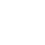 V4L sp. z o.o. + limited partnership
