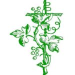 Fundacja Pomocy Ubogim Św.Rity z Cascia Foundation