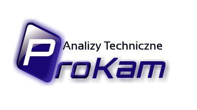 Crash Data Poland sp. z o.o.