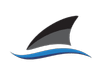 Tenaz Energy Poland B.V. Branch (foreign co.)