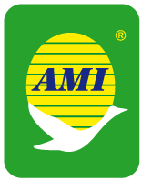 AMI sp. z o.o. + Kommanditgesellschaft