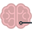 Netbrains sp. z o.o.