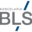 BLS Blaszka-Griffin, Loretański, Stempski, Kancelaria Radców Prawnych sp. p.