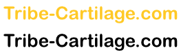 Tribe Cartilage sp. z o.o.