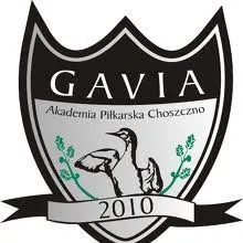 Akademia Piłkarska Gavia Choszczno sp. z o.o.