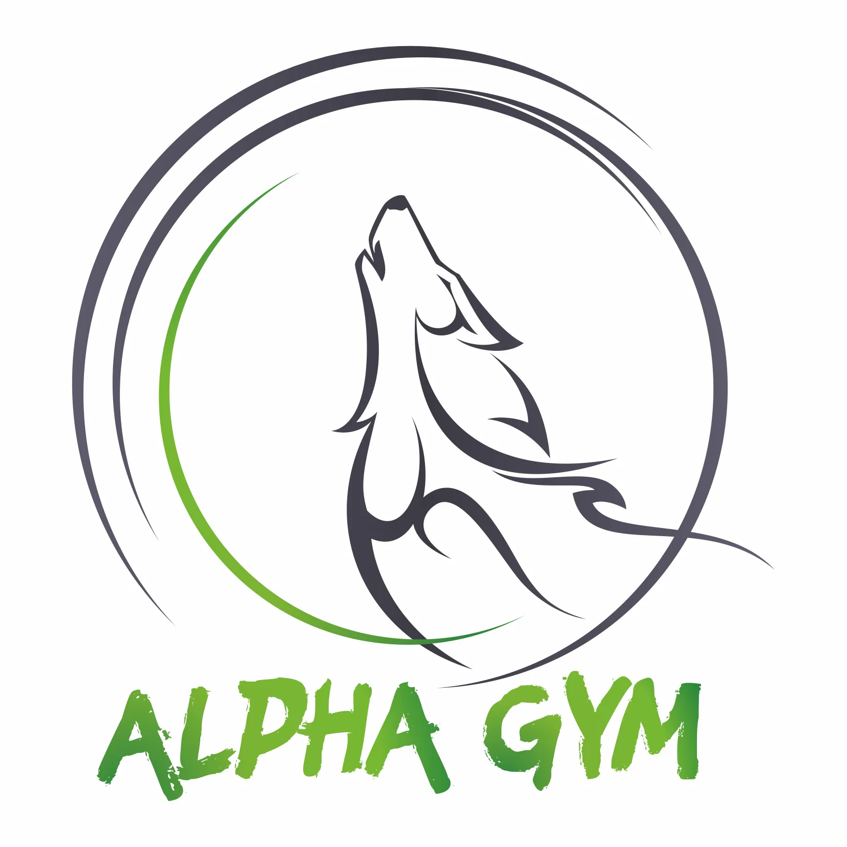 Alpha Gym sp. z o.o.