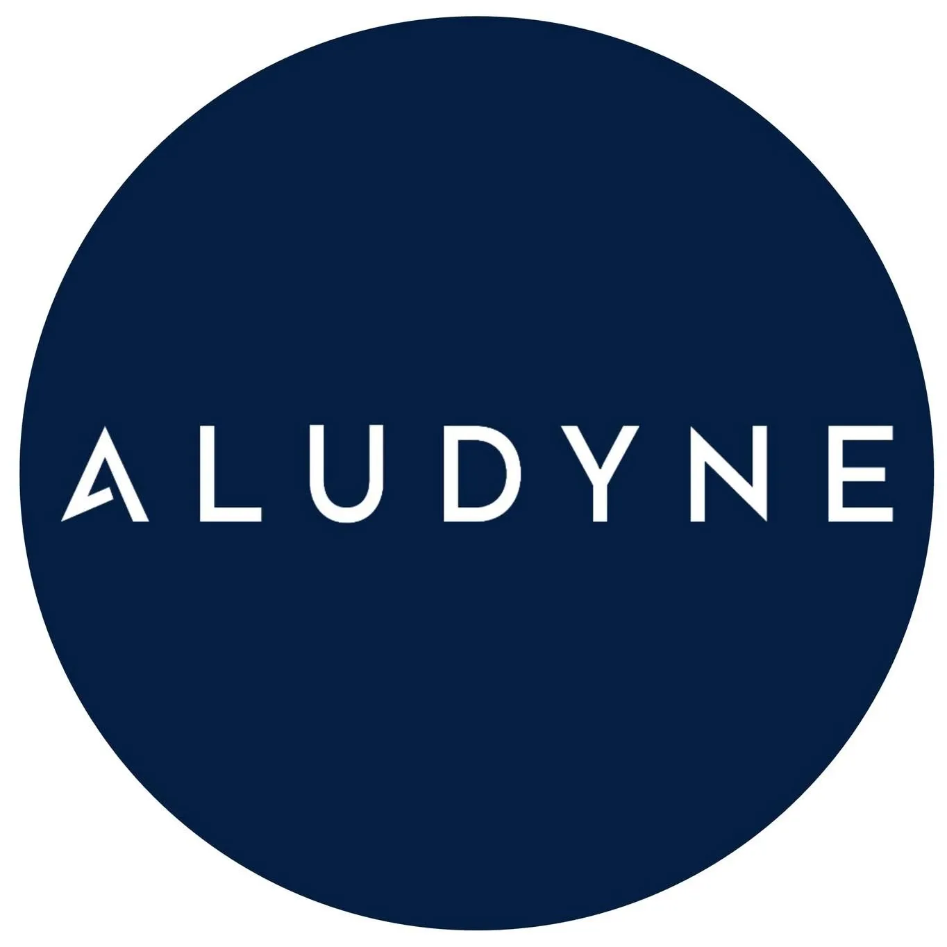 Aludyne Poland