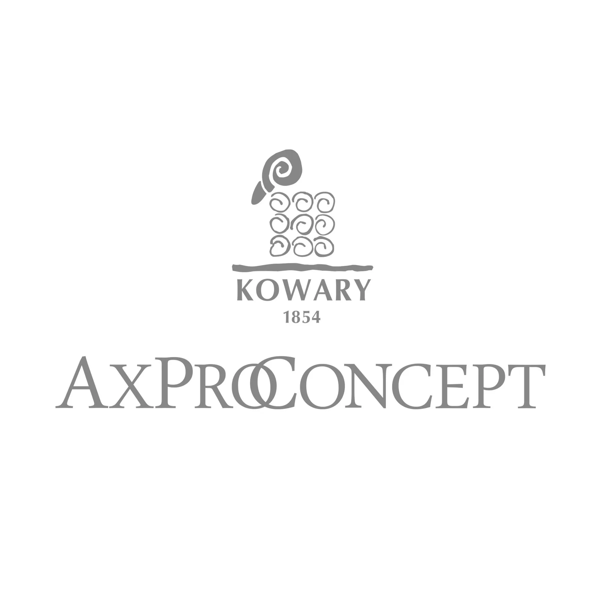Axpro Concept sp. z o.o.