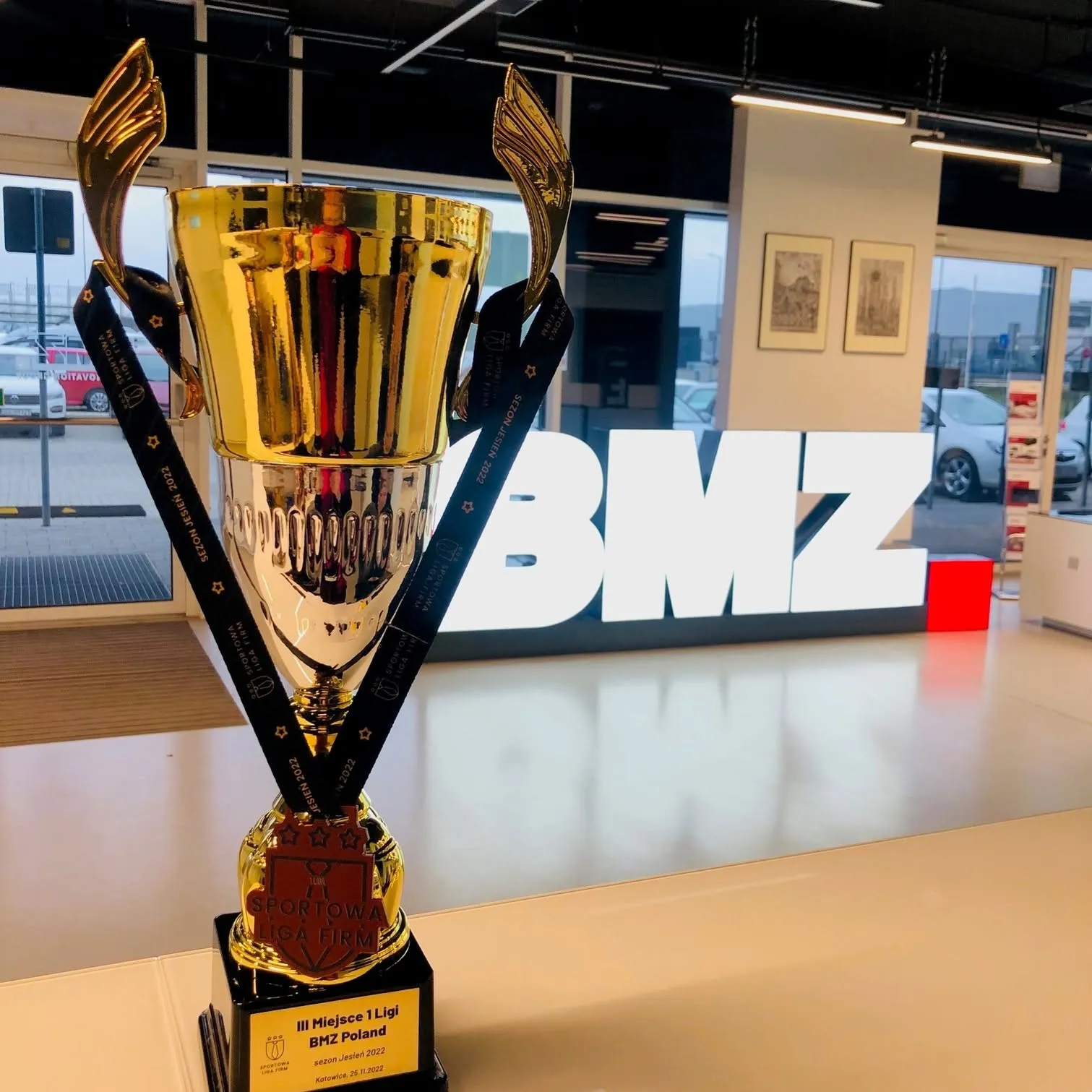 BMZ Poland