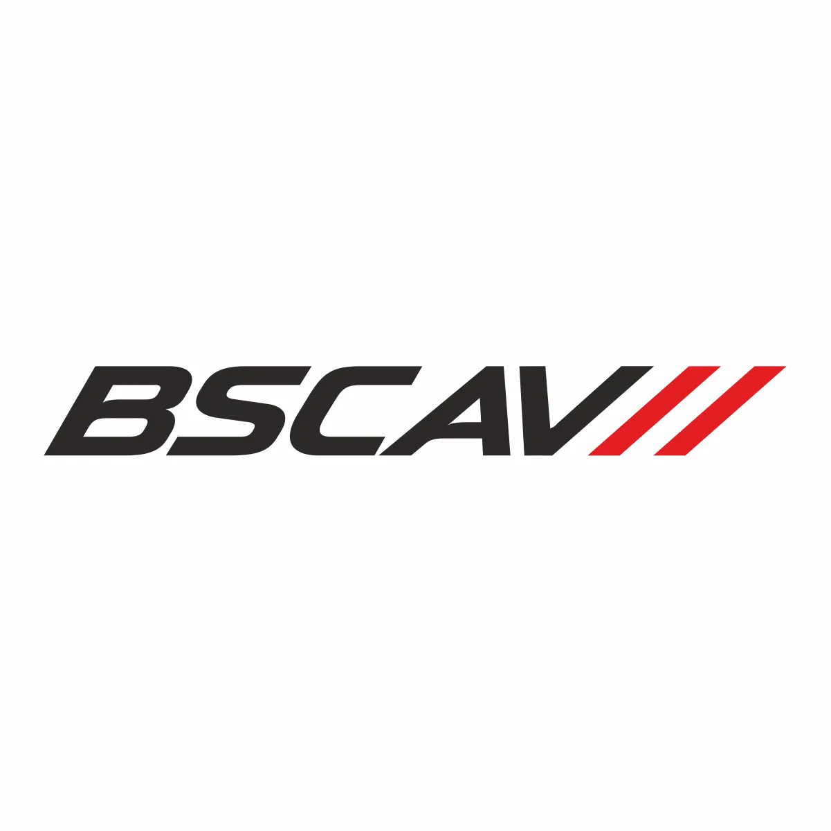 BSC Av sp. z o.o.