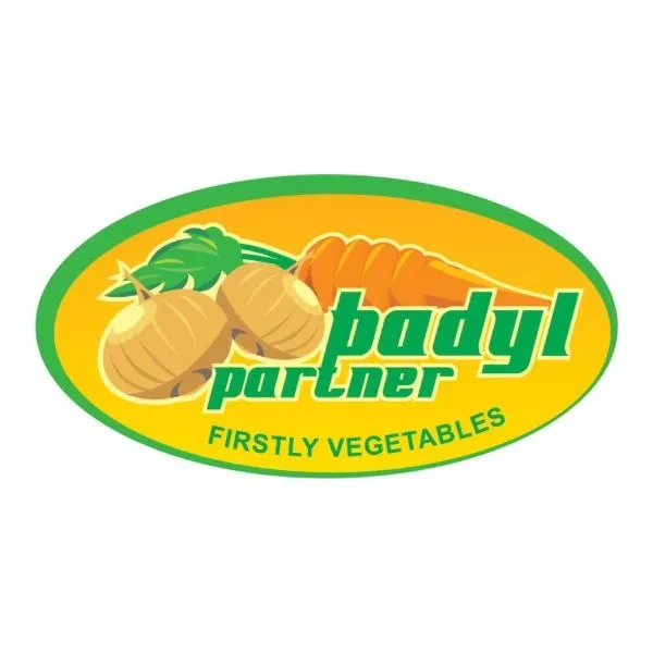 Badyl Partner sp. z o.o.