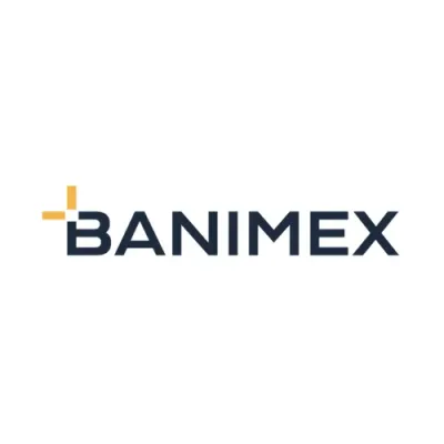 Banimex