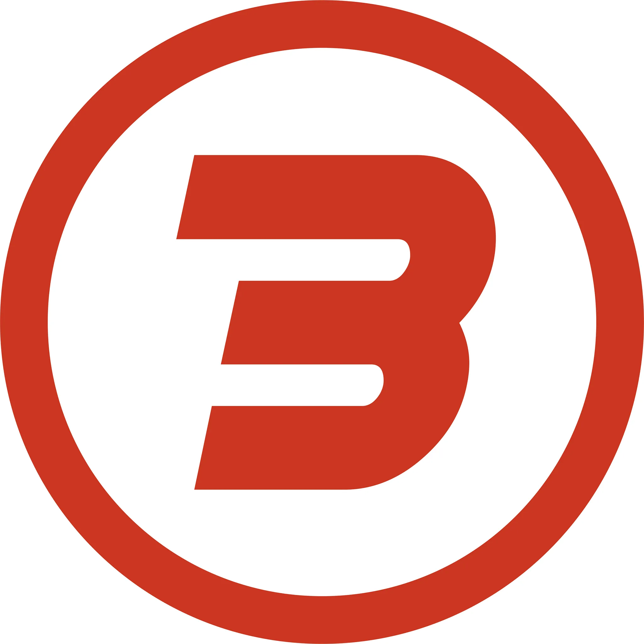 Brandbull International Branch (foreign co.)