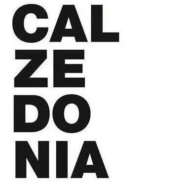 CALZ Polska