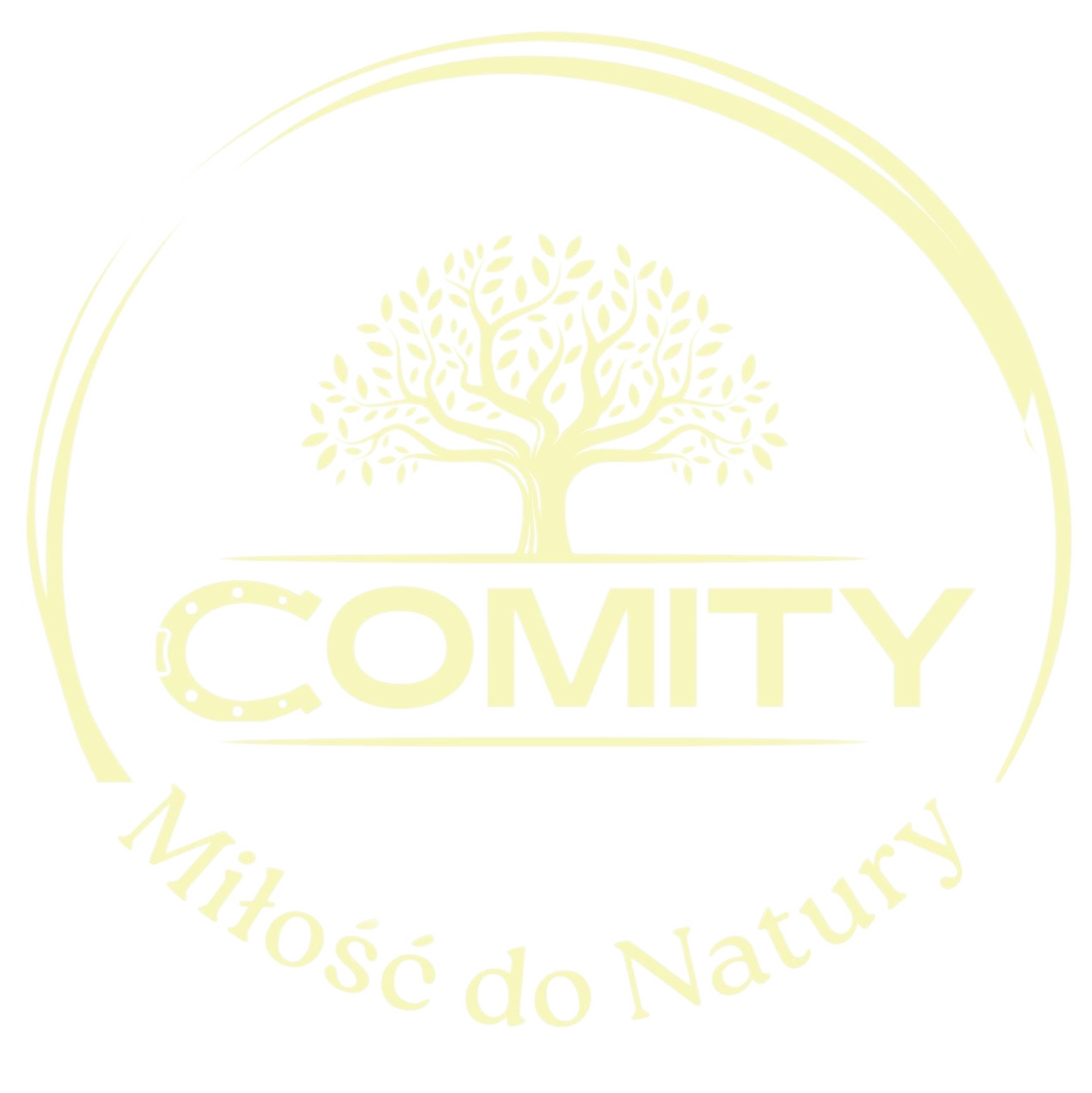 Comity