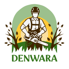 Denwara sp. z o.o.