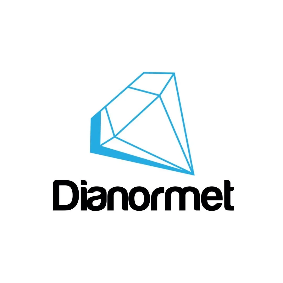 Dianormet sp. z o.o. + limited partnership