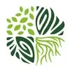 Forest Maker