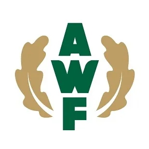Fundacja Awf Warszawa Fundacja