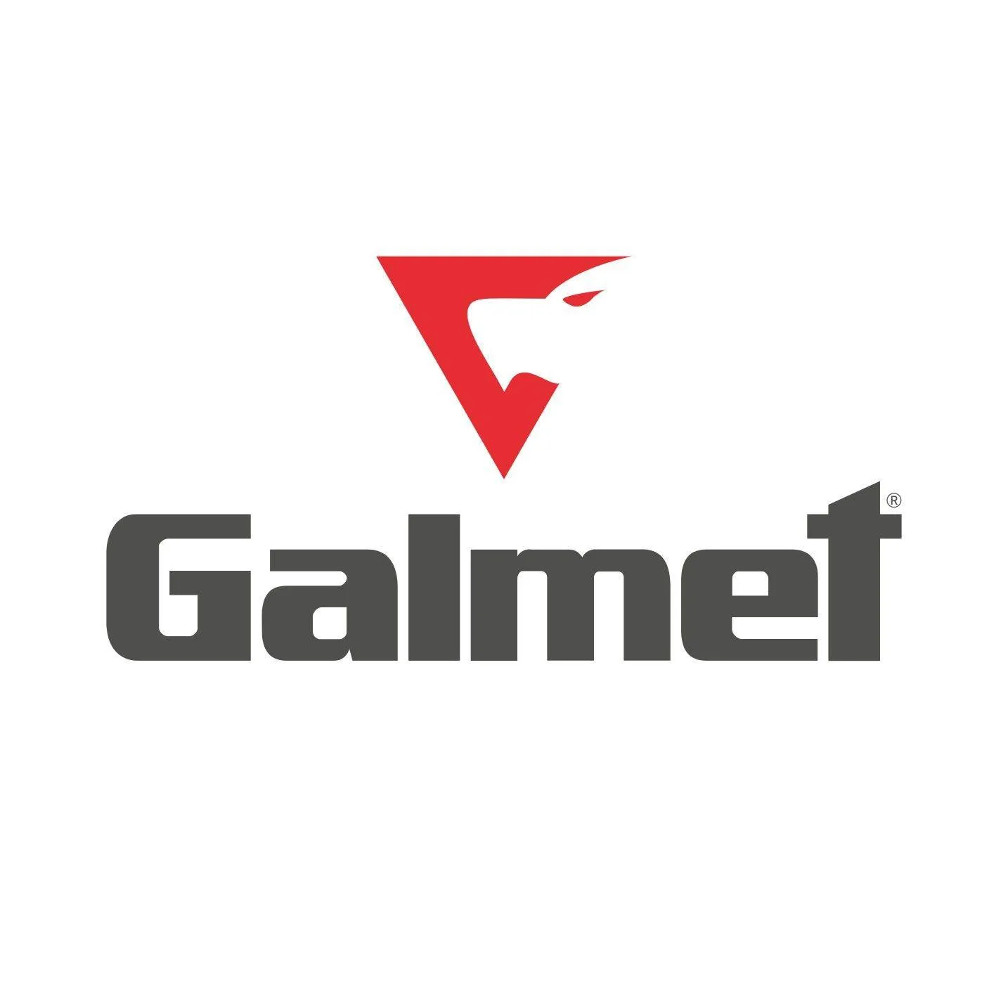 Galmet sp. z o.o. sp. k.
