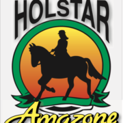 Holstar sp. z o.o.