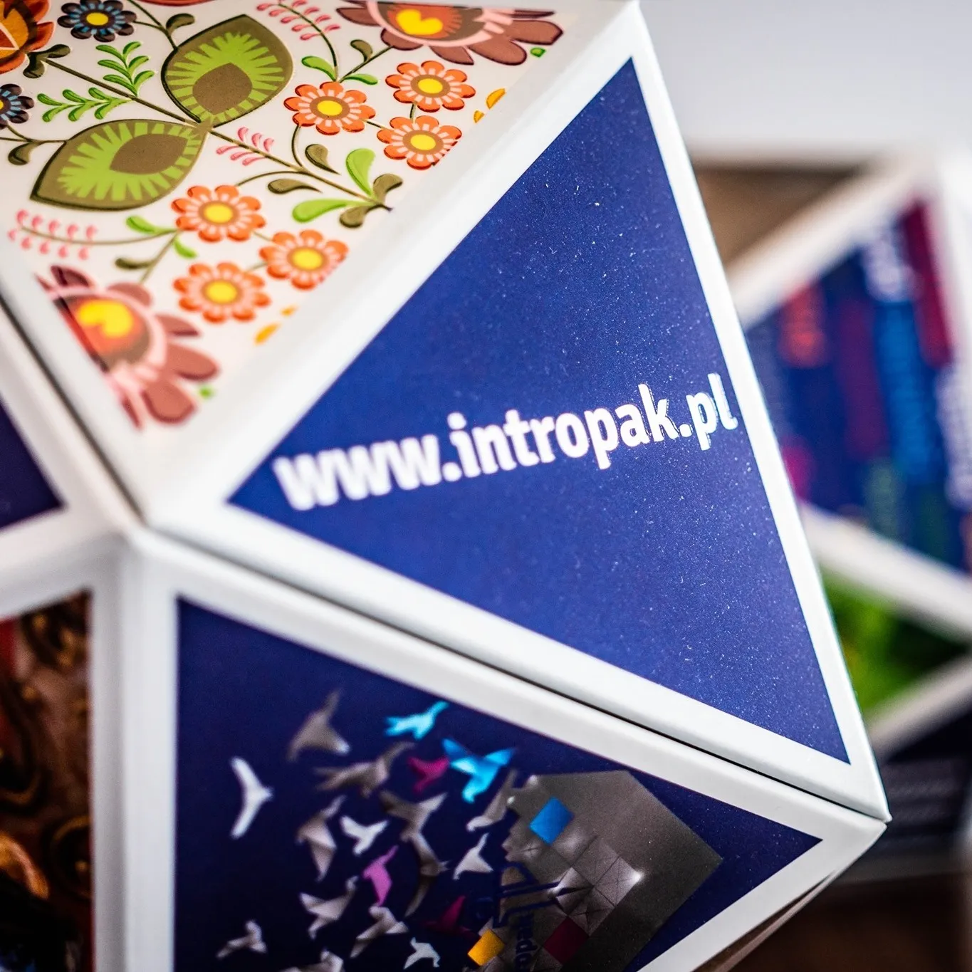 Intropak Płochocki & Wspólnicy sp. j.