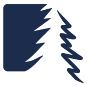 Limba Group sp. z o.o. + limited partnership