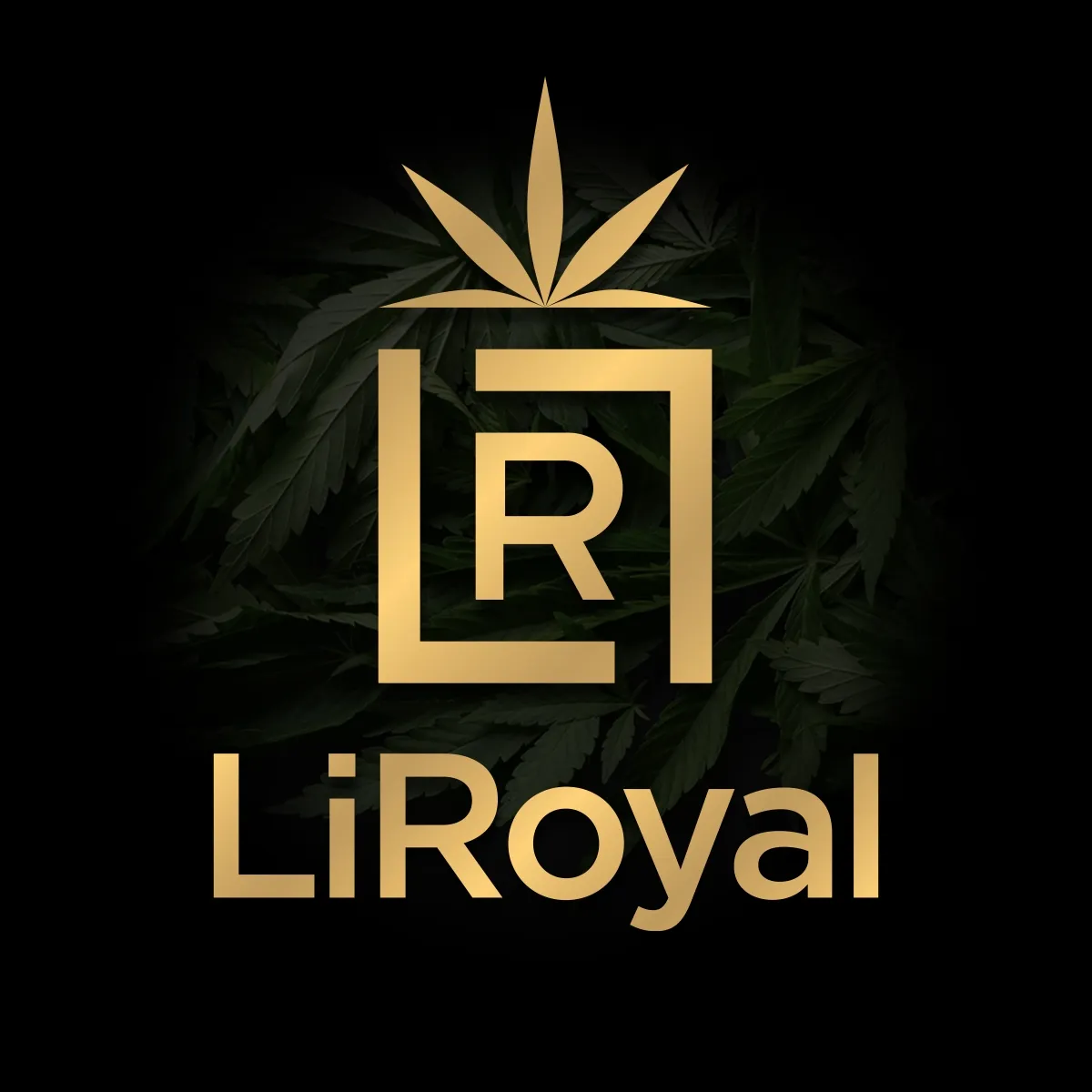 Liroyal.Pl S.A.